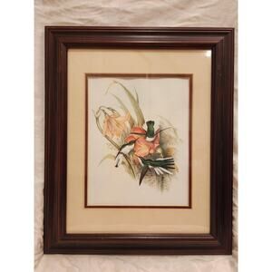 Gould Hummingbirds 4 11 Brazilian Fairy Framed Reprint